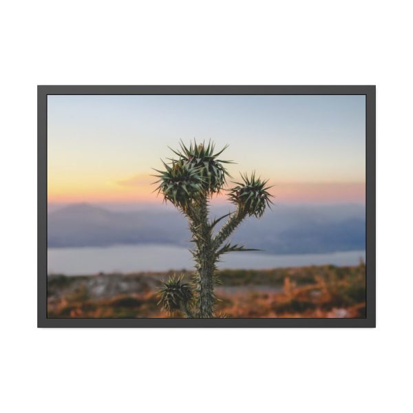 Sunset With Cactus Framed Poster