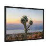 Sunset With Cactus Framed Poster