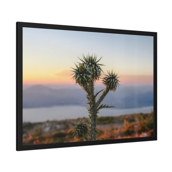 Sunset With Cactus Framed Poster