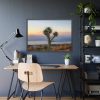 Sunset With Cactus Framed Poster
