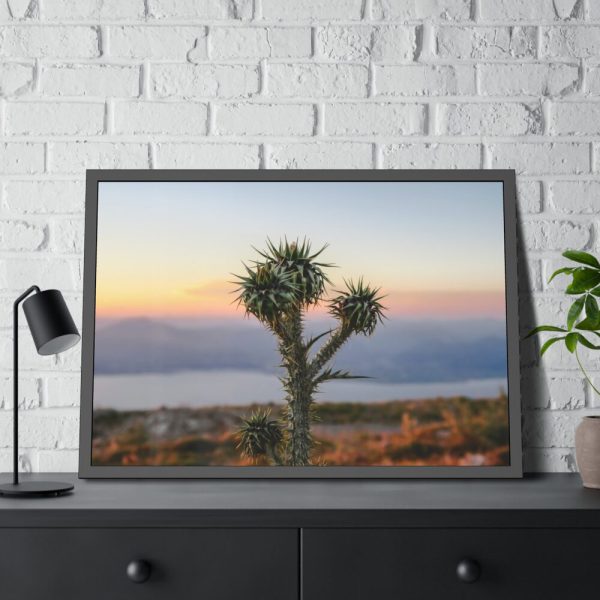 Sunset With Cactus Framed Poster