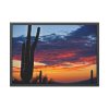 93855-151.jpg Cactus Sunrise Desert Framed Poster