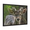 93855-256.jpg Deer With Small Horns Framed Poster