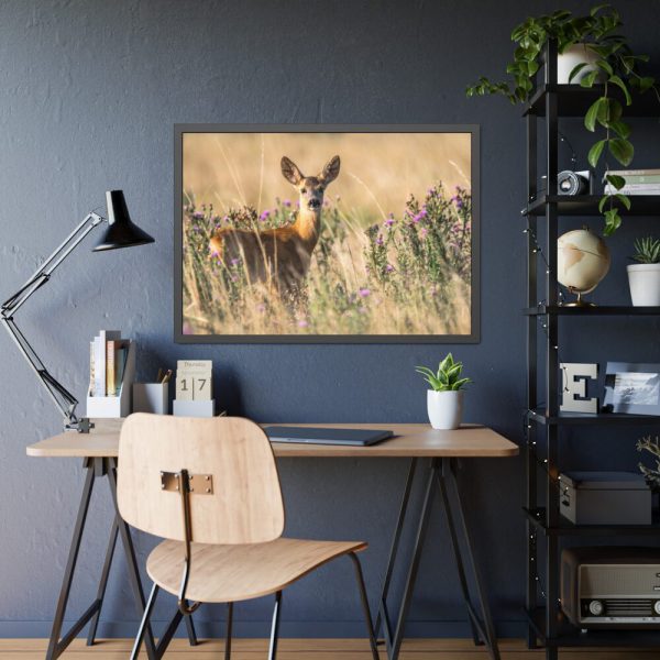 93855-265.jpg Roe Deer Framed Poster