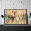 93855-266.jpg Roe Deer Framed Poster