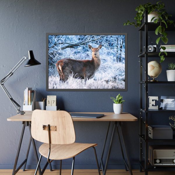 93855-273.jpg Deer In The Forest Framed Poster