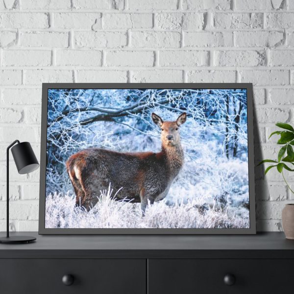 93855-274.jpg Deer In The Forest Framed Poster