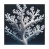 101419-1.jpg Coral Against a Dark Blue Background Standard Canvas