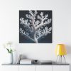 101419-2.jpg Coral Against a Dark Blue Background Standard Canvas