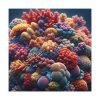 101419-31.jpg Close-Up of the Corals Standard Canvas