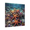 101419-45.jpg Assortment Of Colorful Starfish Standard Canvas