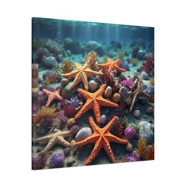 101419-45.jpg Assortment Of Colorful Starfish Standard Canvas