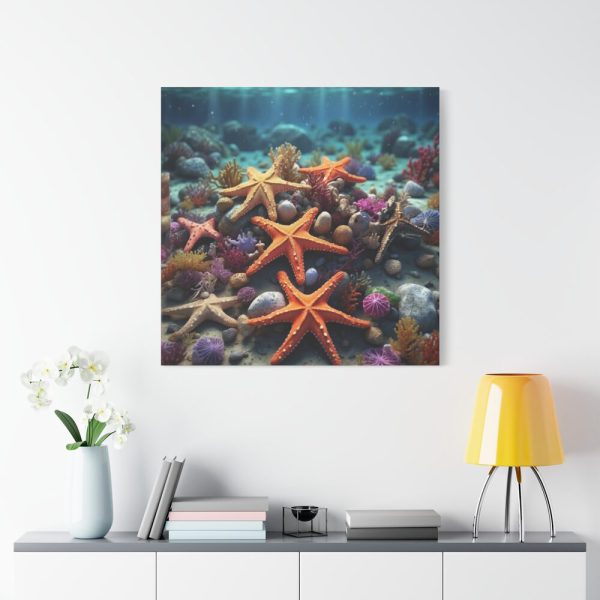 101419-47.jpg Assortment Of Colorful Starfish Standard Canvas