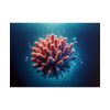 101857-10.jpg Coral With Surrounding Water Bubbles Poster