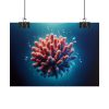 101857-11.jpg Coral With Surrounding Water Bubbles Poster