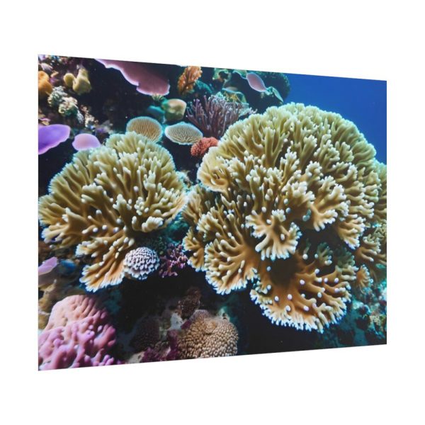 101875-177.jpg Coral Reef In The Ocean Poster