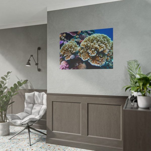 101875-179.jpg Coral Reef In The Ocean Poster
