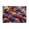 101875-200.jpg Close-Up of the Corals Poster
