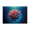 101875-205.jpg Coral With Surrounding Water Bubbles Poster