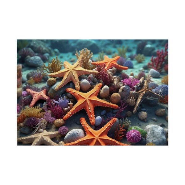 101875-245.jpg Assortment Of Colorful Starfish Poster