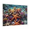 101875-247.jpg Assortment Of Colorful Starfish Poster