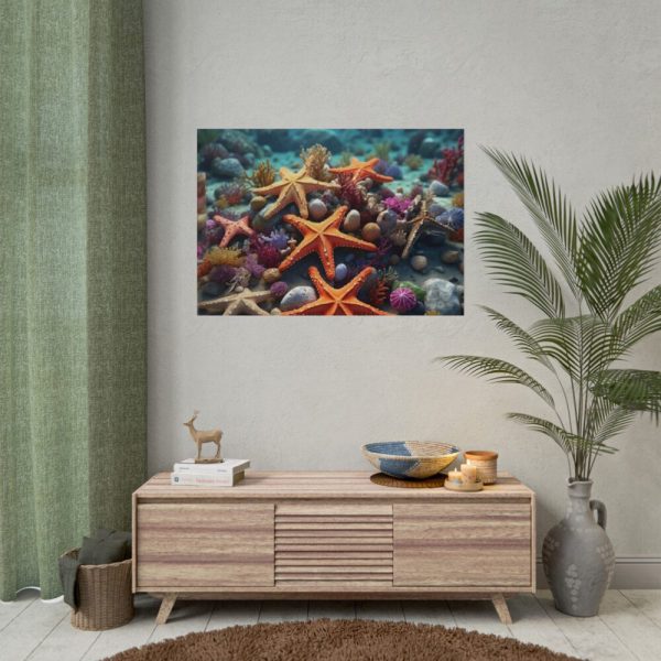 101875-248.jpg Assortment Of Colorful Starfish Poster