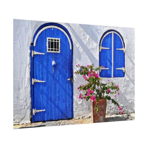 Blue Door and Pink Flower Poster
