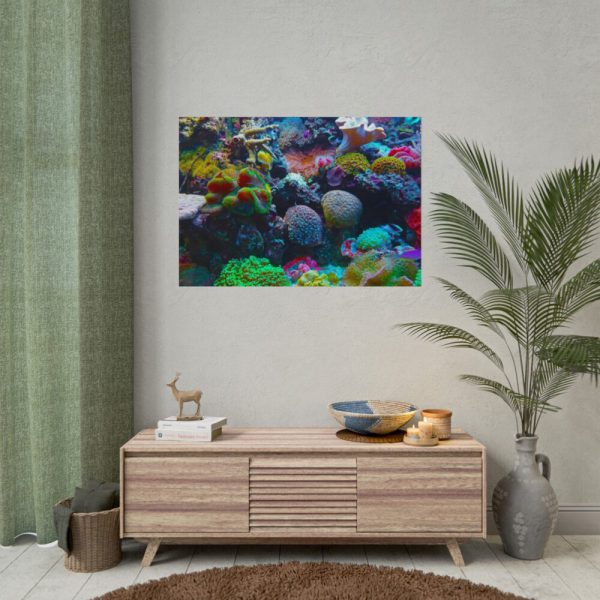 101875-58.jpg Colorful Reefs and Fish Poster