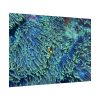 101875-62.jpg Hiding Clown Fish In Corals Poster
