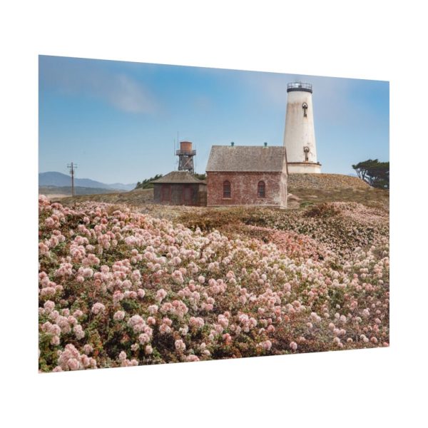 101875-7.jpg The Piedras Blancas Light Station Poster
