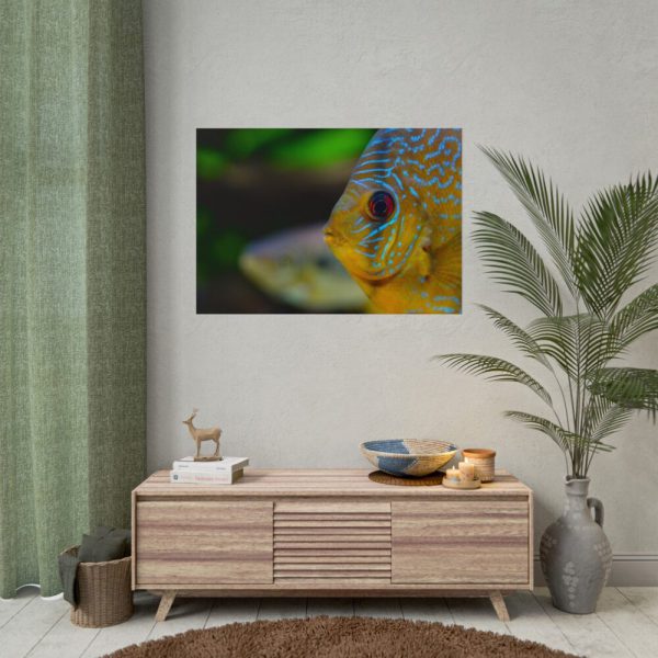 Yellow Exotic Fish Poster