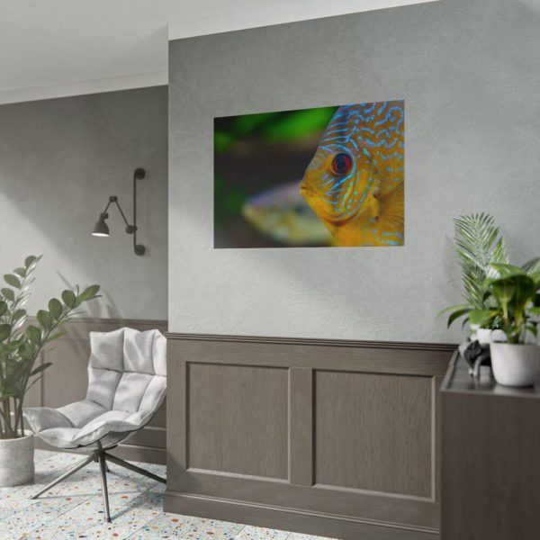 Yellow Exotic Fish Poster