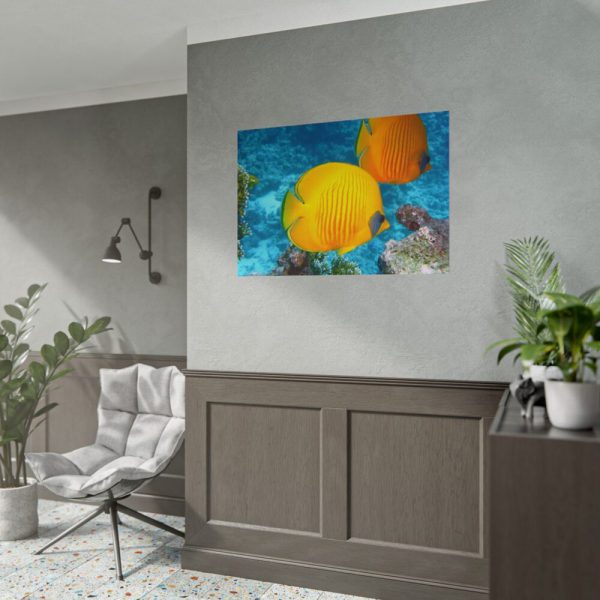 Exotic Fish Poster