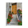 101894-120.jpg Doors With Flowers Poster