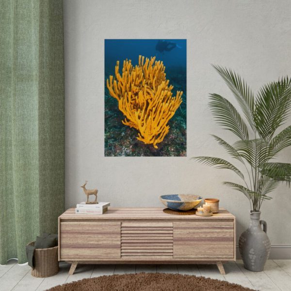 Yellow Corals Poster