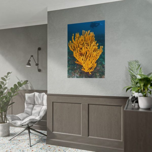 Yellow Corals Poster