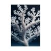 101894-20.jpg Coral Against a Dark Blue Background Poster