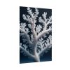 101894-22.jpg Coral Against a Dark Blue Background Poster