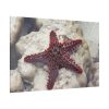 Red Knobbed Starfish Standard Canvas