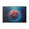 88289-180.jpg Coral With Surrounding Water Bubbles Framed Canvas