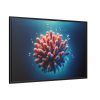 88289-181.jpg Coral With Surrounding Water Bubbles Framed Canvas