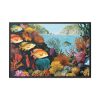 88289-196.jpg Vibrant Marine Life Scene II Framed Canvas