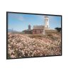 88289-5.jpg The Piedras Blancas Light Station Framed Canvas