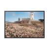 88289-6.jpg The Piedras Blancas Light Station Framed Canvas