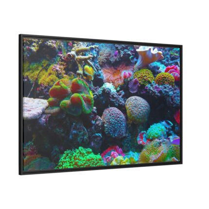 Colorful Reefs and Fish Framed Canvas