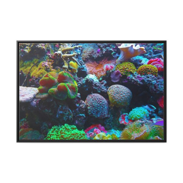 88289-61.jpg Colorful Reefs and Fish Framed Canvas