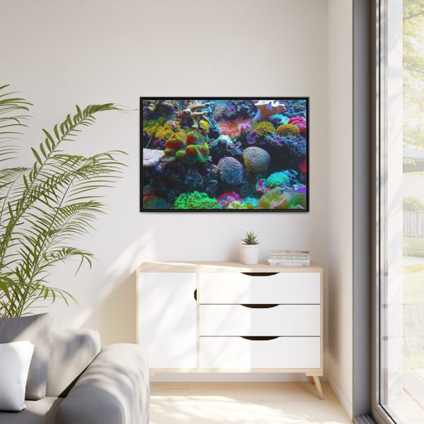 88289-63.jpg Colorful Reefs and Fish Framed Canvas
