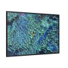 Hiding Clown Fish In Corals Framed Canvas
