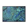 Hiding Clown Fish In Corals Framed Canvas