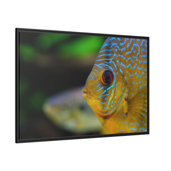 88289-75.jpg Yellow Exotic Fish Framed Canvas
